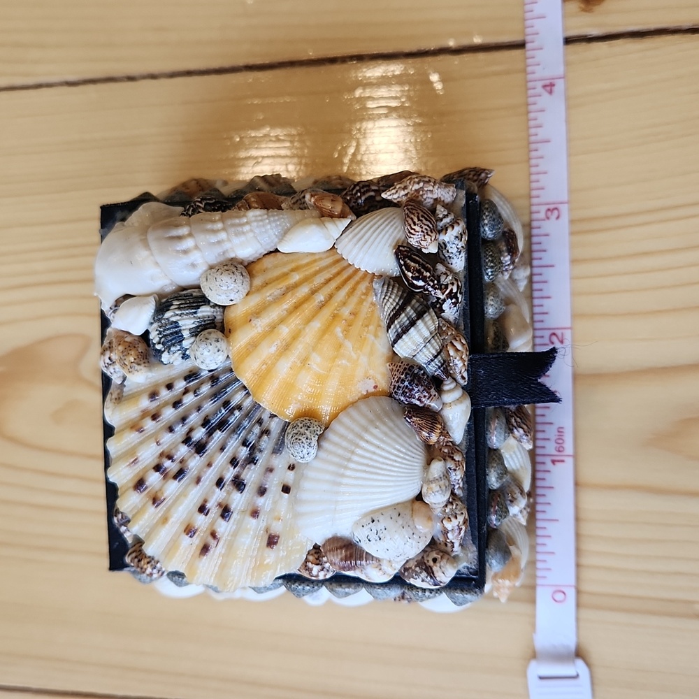 Sea Shell Box Trinkets Jewelry - Picture 10 of 12
